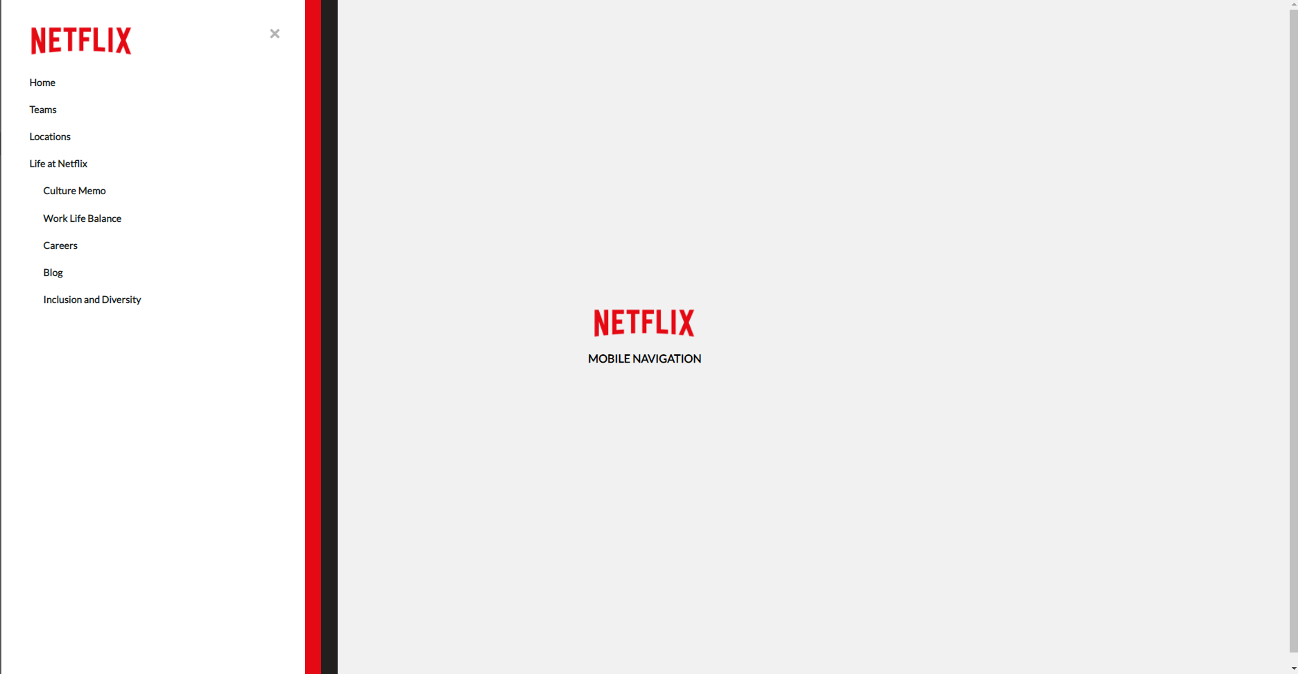 Netflix Navigator